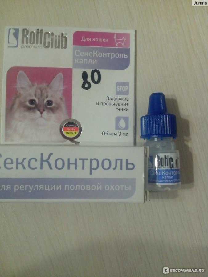 Препараты от загулов для котов: обзор капель и таблеток
