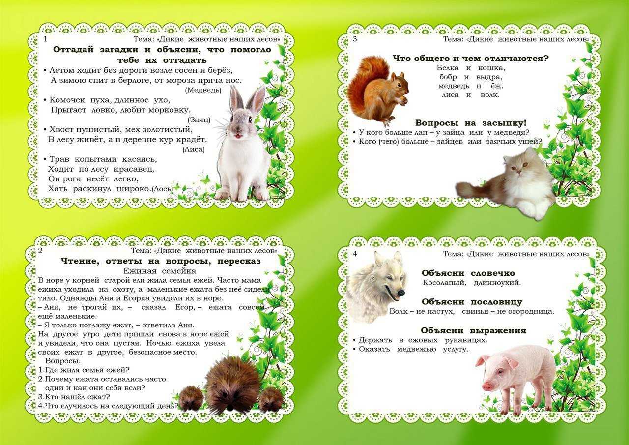 Рассказы о животных для детей 4-5 лет в детском саду