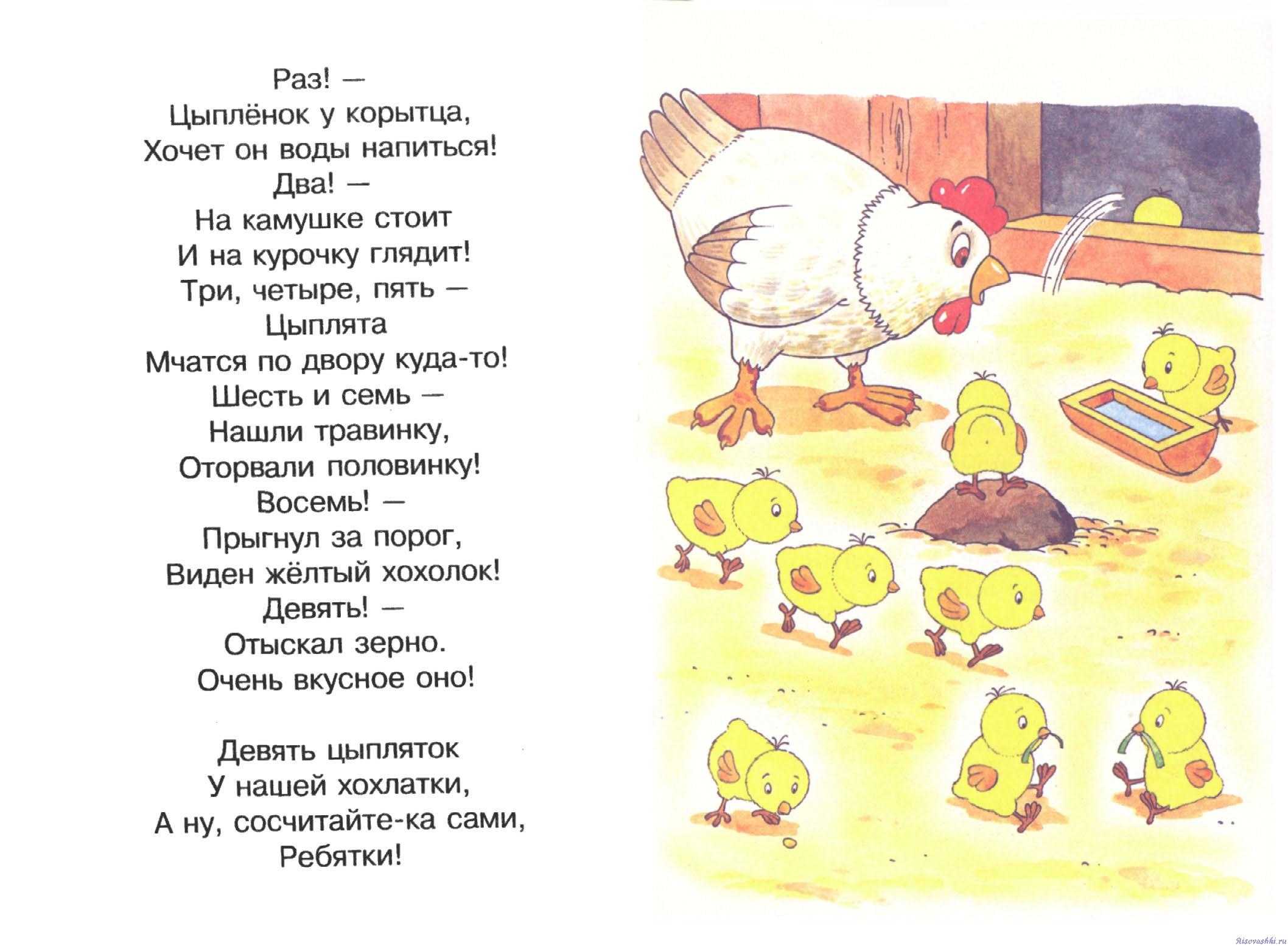 Песни у нас живет цыпленок. Стихи для детей. Стихи для малышей. Стихи картинки для детей. Стихи для детей стихи для детей.