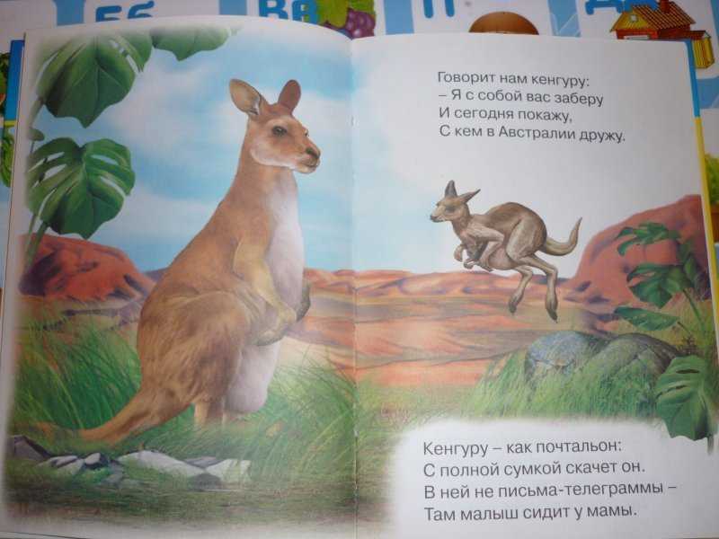 Простые и сложные загадки для детей 3-7 лет: про природу, про животных и другие