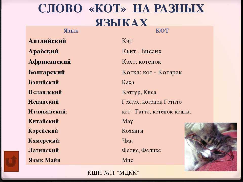 Русские и современные имена для девочек