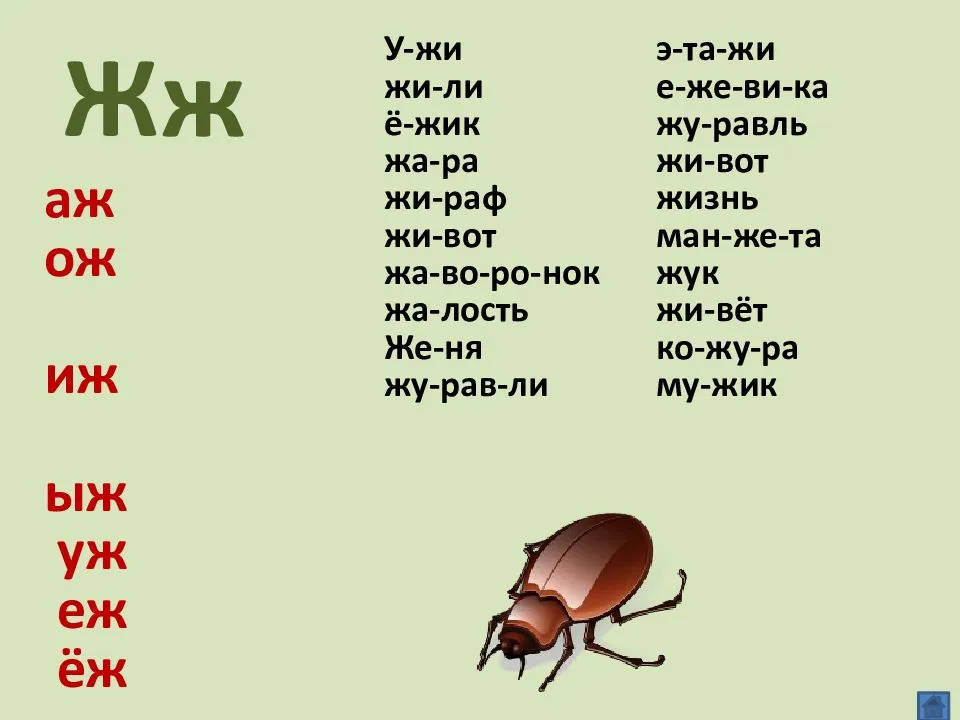 Русский язык и занимательные факты о нем
