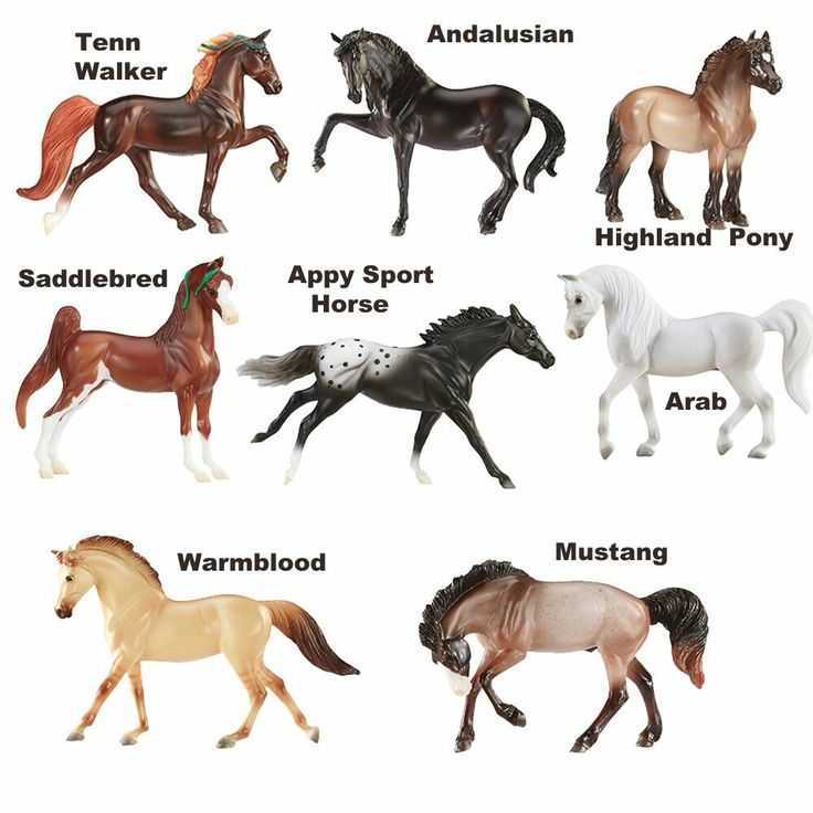Английская чистокровная верховая лошадь: описание породы и фото