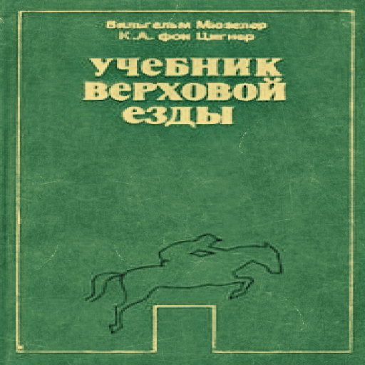 ᐉ верховая езда на лошади: основы и рекомендации для начинающих - zooon.ru