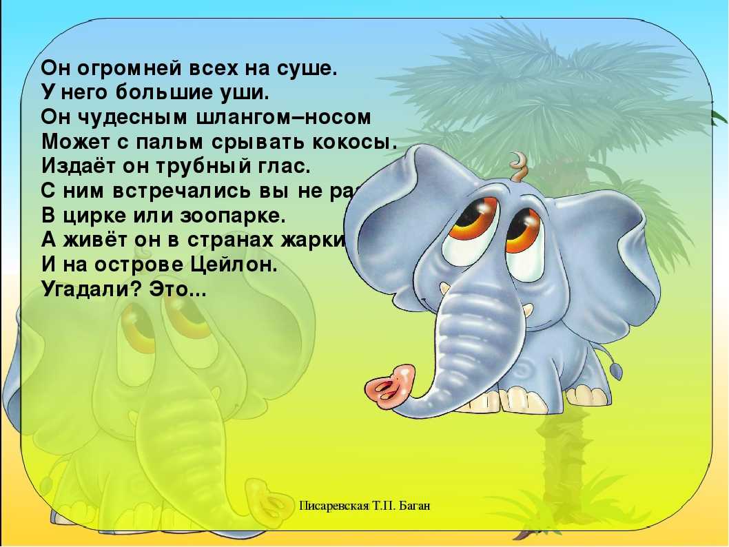 Слон загадка. Стих про слона. Стих про слоника. Стих про слона для детей. Детские стихи про слона.