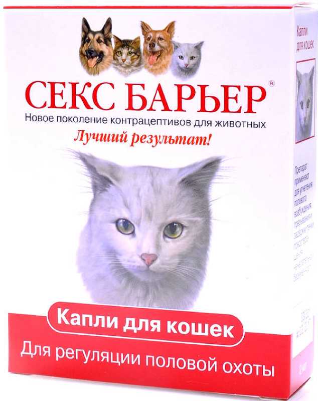 Гестренол для кошек: отзывы ветеринаров, инструкция - капли и таблетки