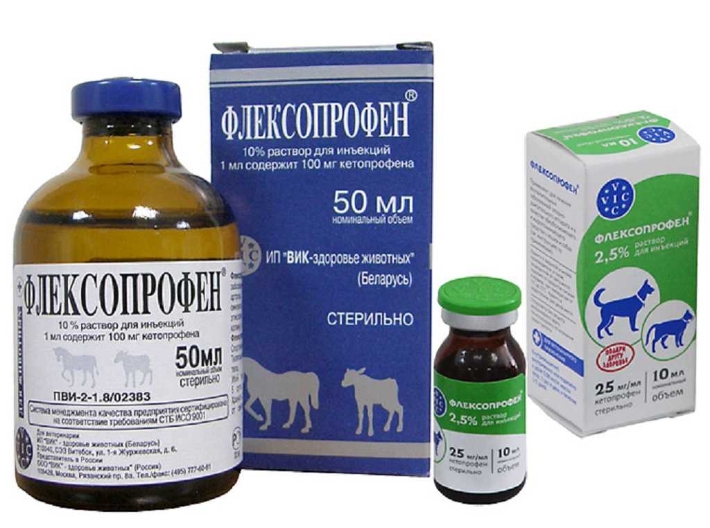 «флексопрофен» для собак и кошек: инструкция по применению