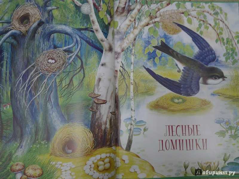 Лесные домишки — сказка виталия бианки | сказки. рассказы. стихи
