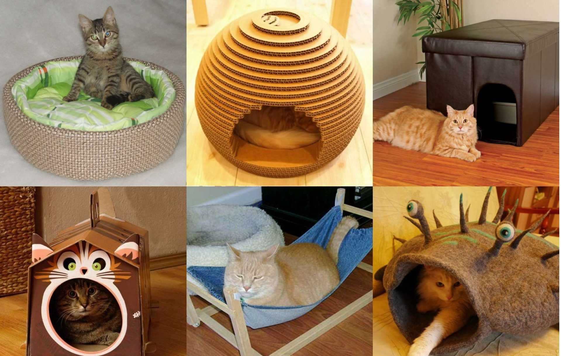 Разнообразные домики для кошек: как же выбрать то, что понравится вашему питомцу, на что следует обращать особое внимание А также мастер-класс по изготовлению необычного домика-трапеции