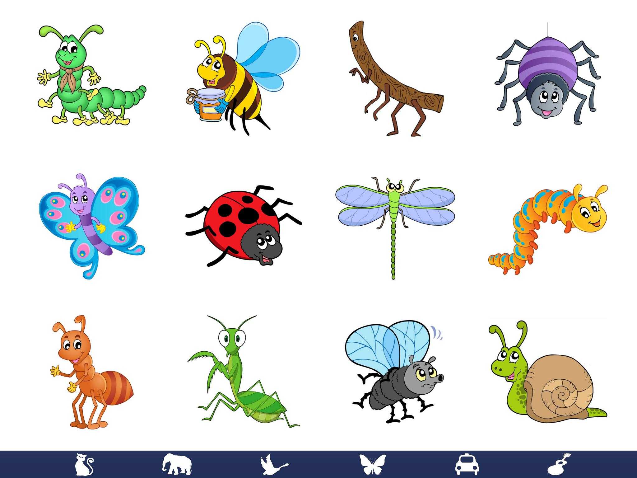 Картинки насекомых для детей цветные. Насекомые для дошкольников. Насекомые для ДОШКОЛЬНИКЛ. Ползающие насекомые для детей. Насекомые иллюстрации для детей.