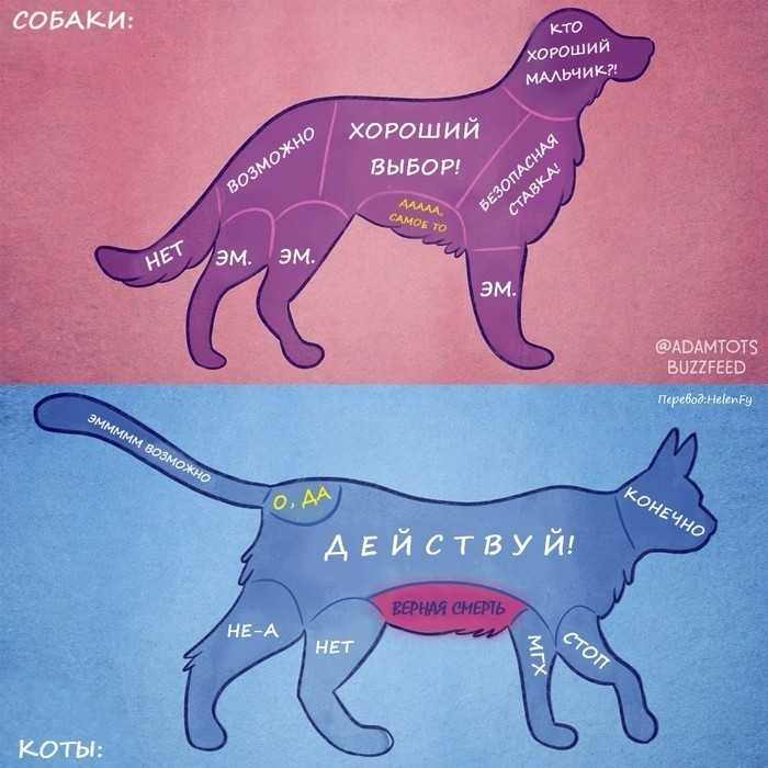 Лямблиоз