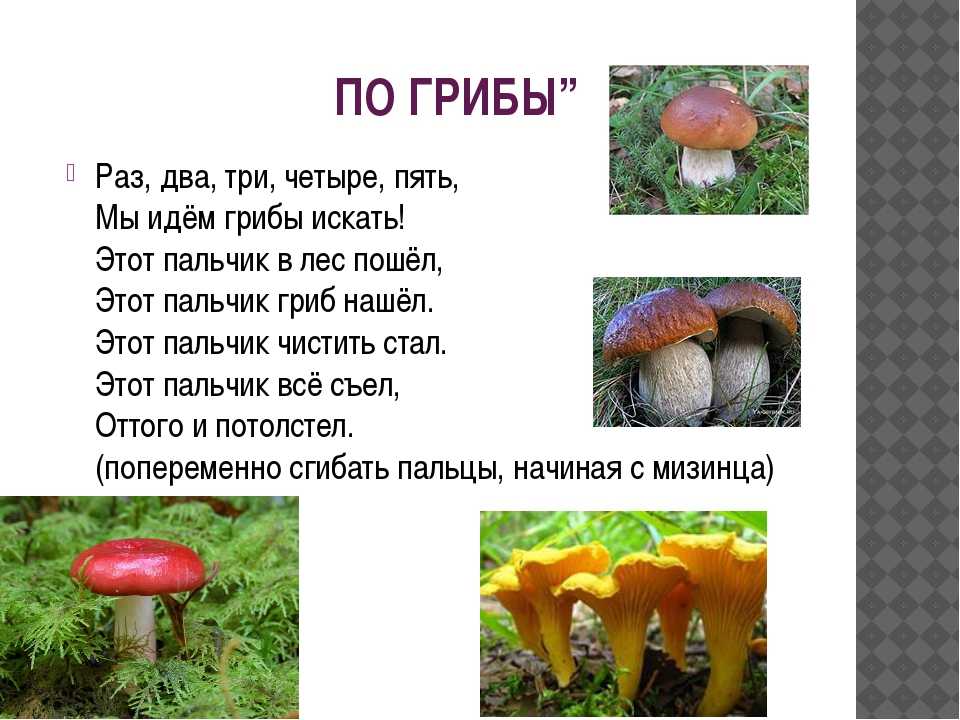 Стихи про грибы - подборка лучших детских стихотворений