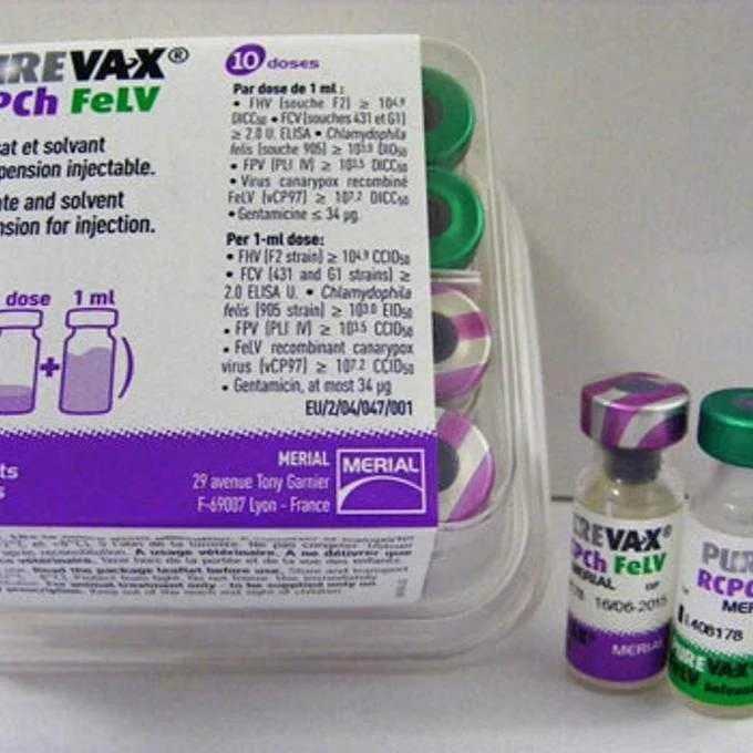 Вакцина поливак для собак — инструкция по применению