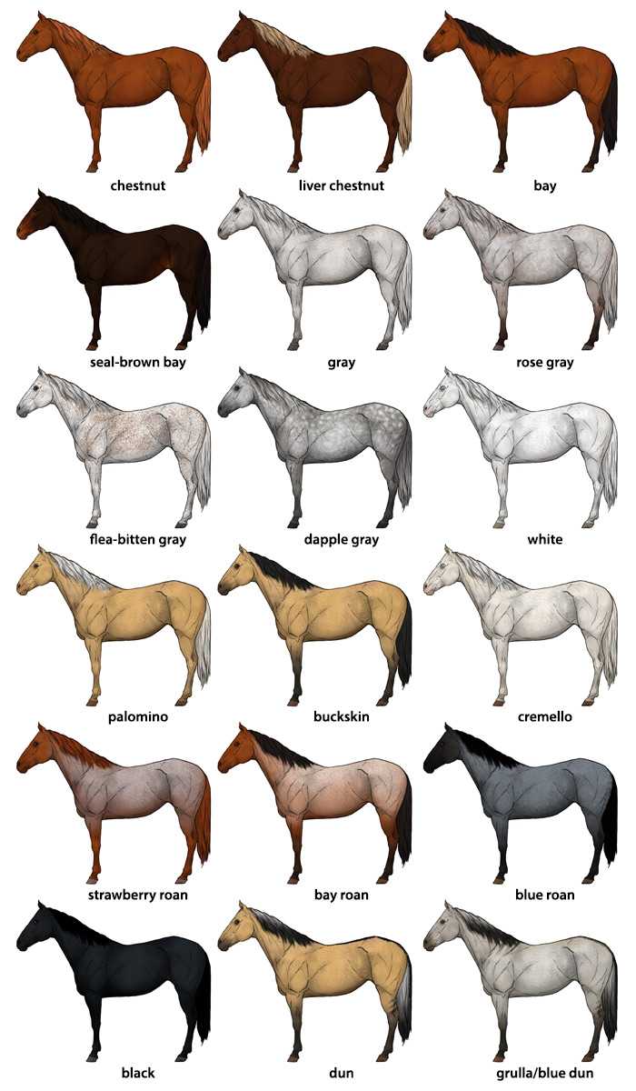 Русские лошади