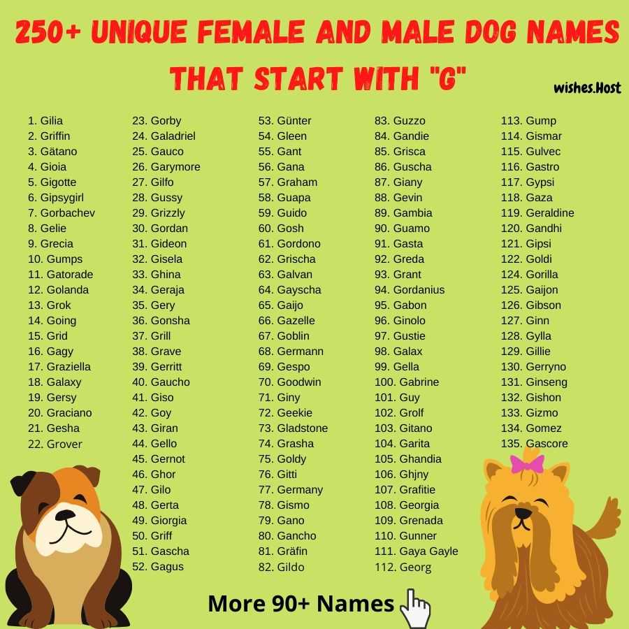 Клички для собак мальчиков: список 5000 лучших вариатнов по алфавиту