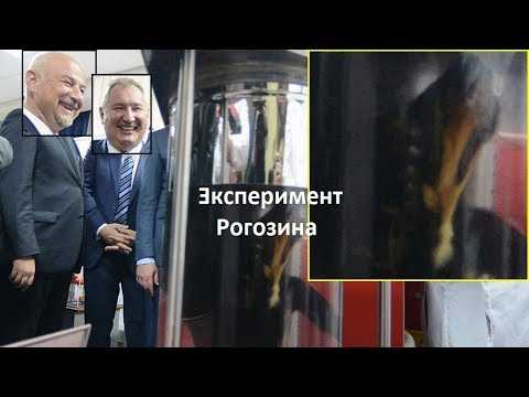 Зачем Дмитрий Рогозин топил собаку на глазах у президента Сербии Александра Вучича Дальнейшая судьба подопытной таксы