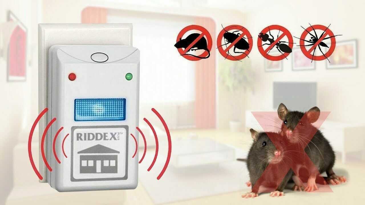 Включить отпугиватель мышей. Riddex отпугиватель. RZ-598 отпугиватель от насекомых Electric Pest Repeller.