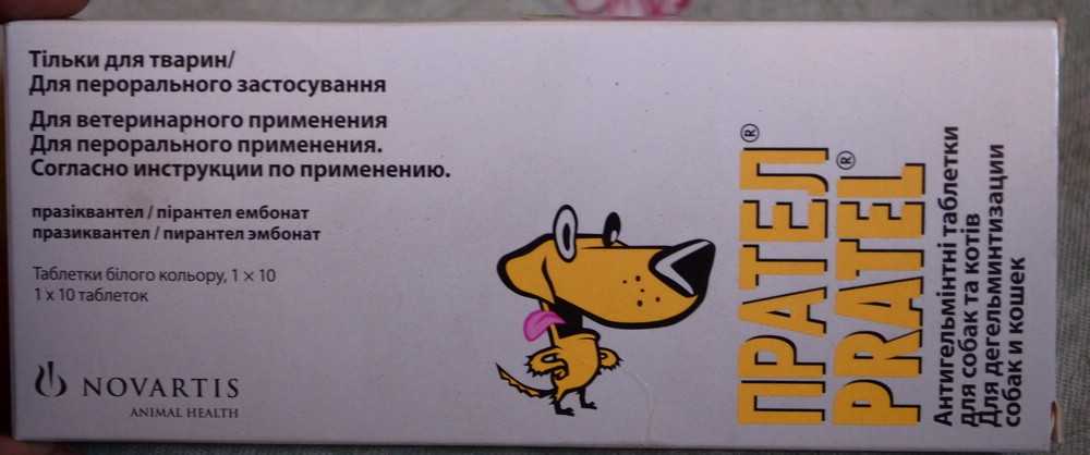Прател для кошек: инструкция по применению, аналоги, отзывы