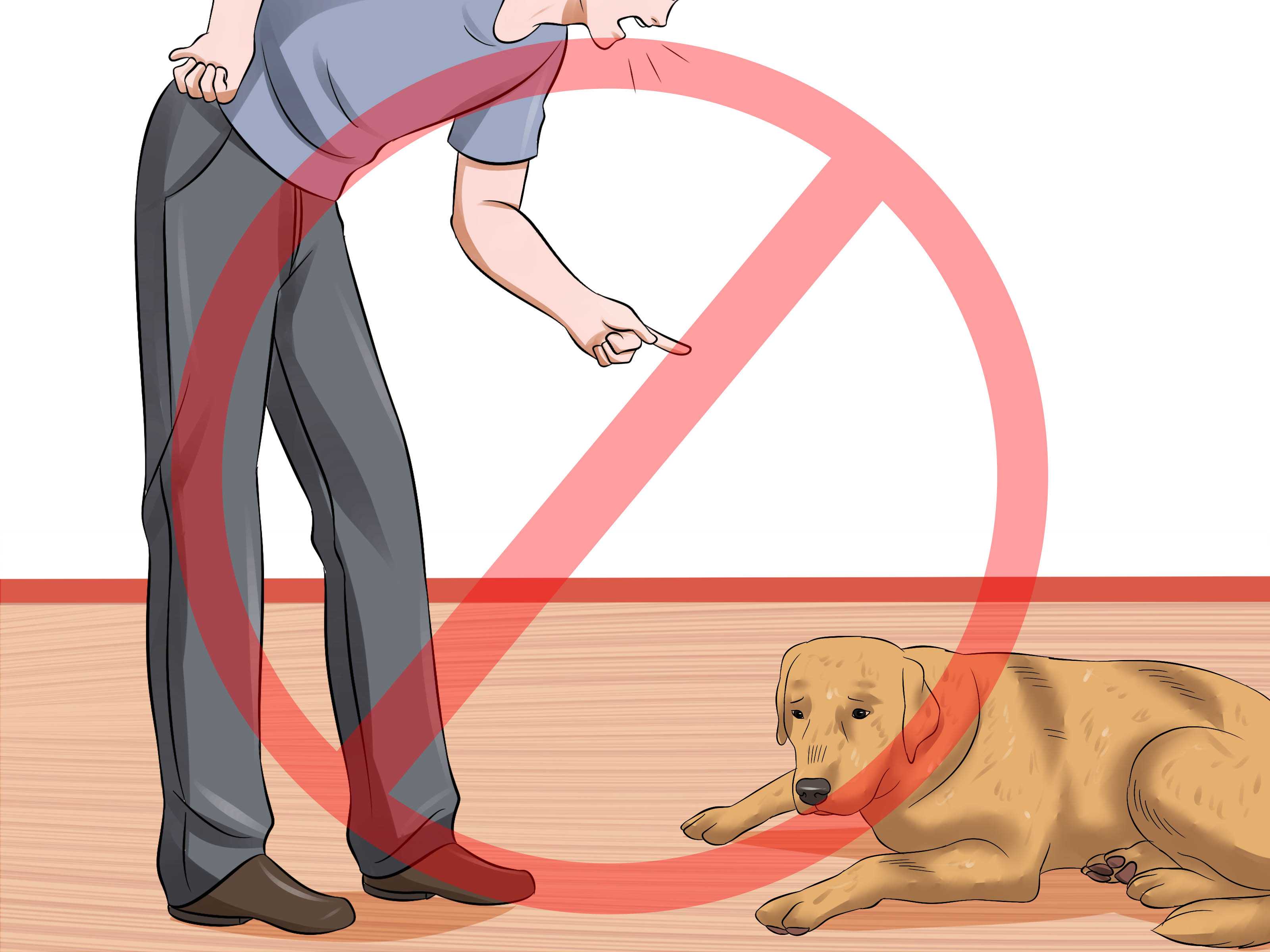 Наказание собаки за непослушание: можно ли голодом, как ругать за укус хозяина