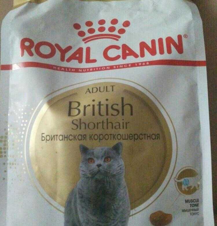 Особенности организации питания у британских кошек Корма для питания взрослых животных и котят Кормление натуральными продуктами Необходимость витаминов