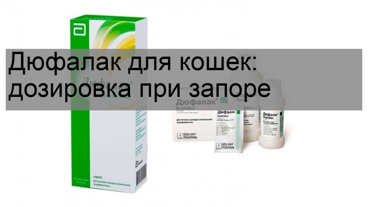 Препарат дюфалак для кошек: описание, инструкция по применению, показания и противопоказания, аналоги, отзывы