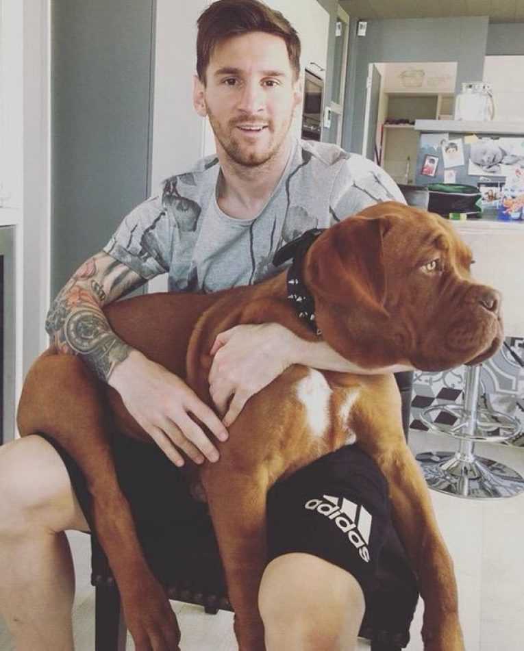 Какая собака у Лионеля Месси Подборка фото футболиста со своим питомцем