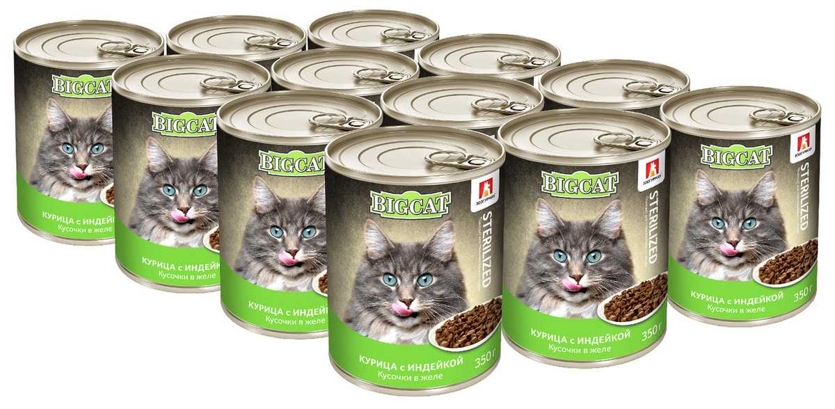 Вреден ли сухой корм для кошек: отзывы ветеринаров.
