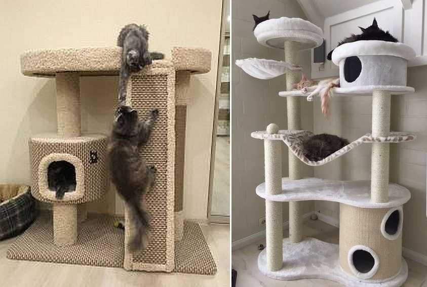 Уютное место для кота в небольшой квартире: 9 удачных идей