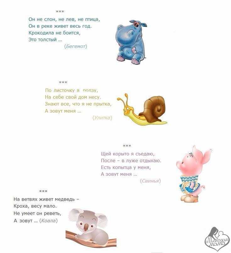 Загадки про животных для детей в стихах и с ответами