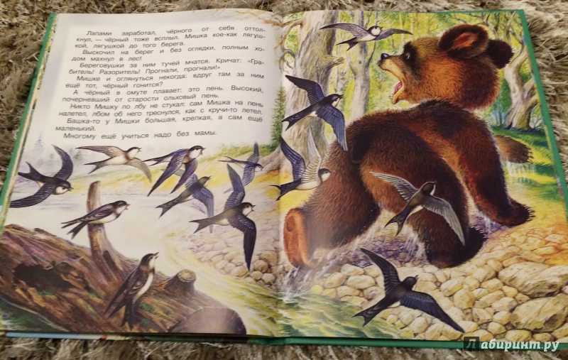 Рассказ виталия бианки «лесные домишки»: краткое содержание. бианки, «лесные домишки» — сказка о жизни птиц