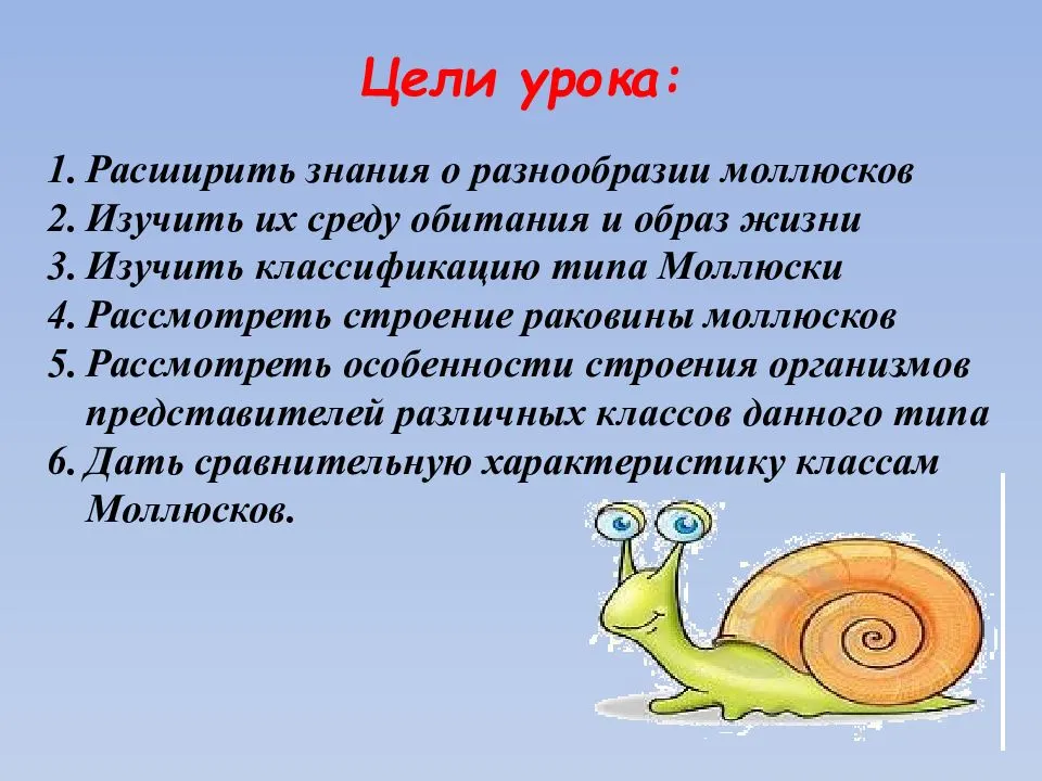 Классы моллюсков и их характерные особенности.