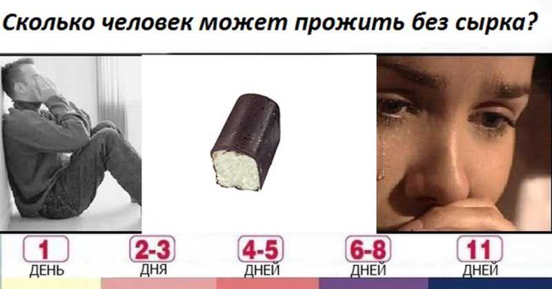 Сколько времени кошка может продержаться без корма?