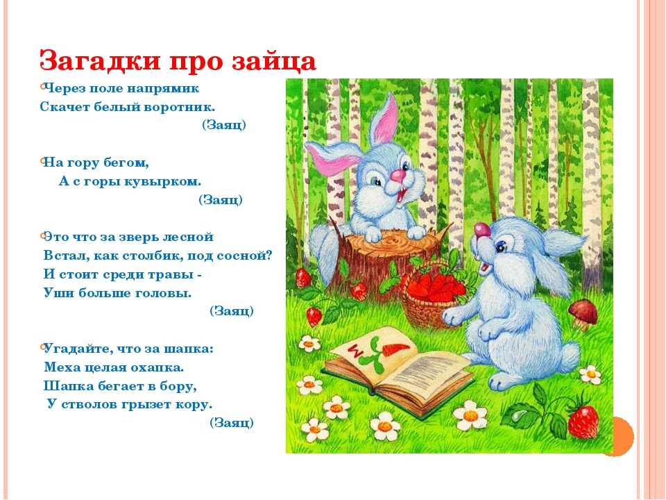 Загадки про животных с ответами — лучшая подборка для детей: 130 загадок