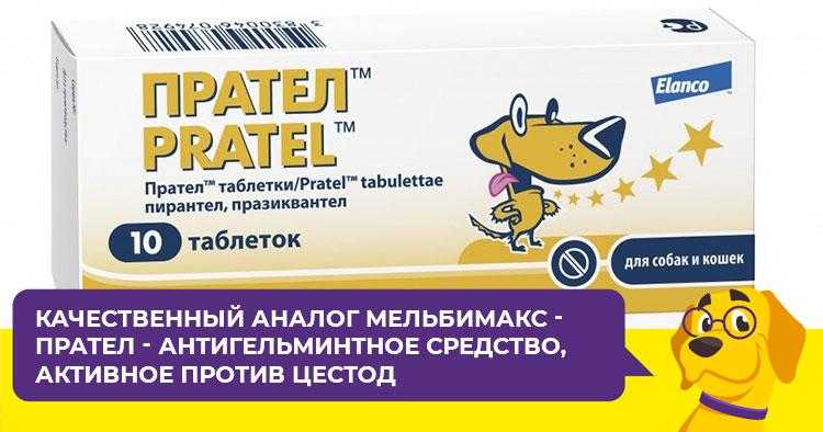 Прател для кошек: стоимость, инструкция по применению, аналоги