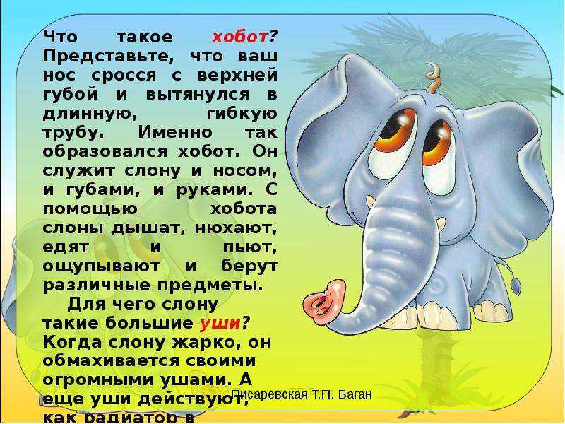 Стихотворение слон учить. Стих про слона. Стихотворение про слонов. Стих про слоника. Веселое стихотворение про слона.