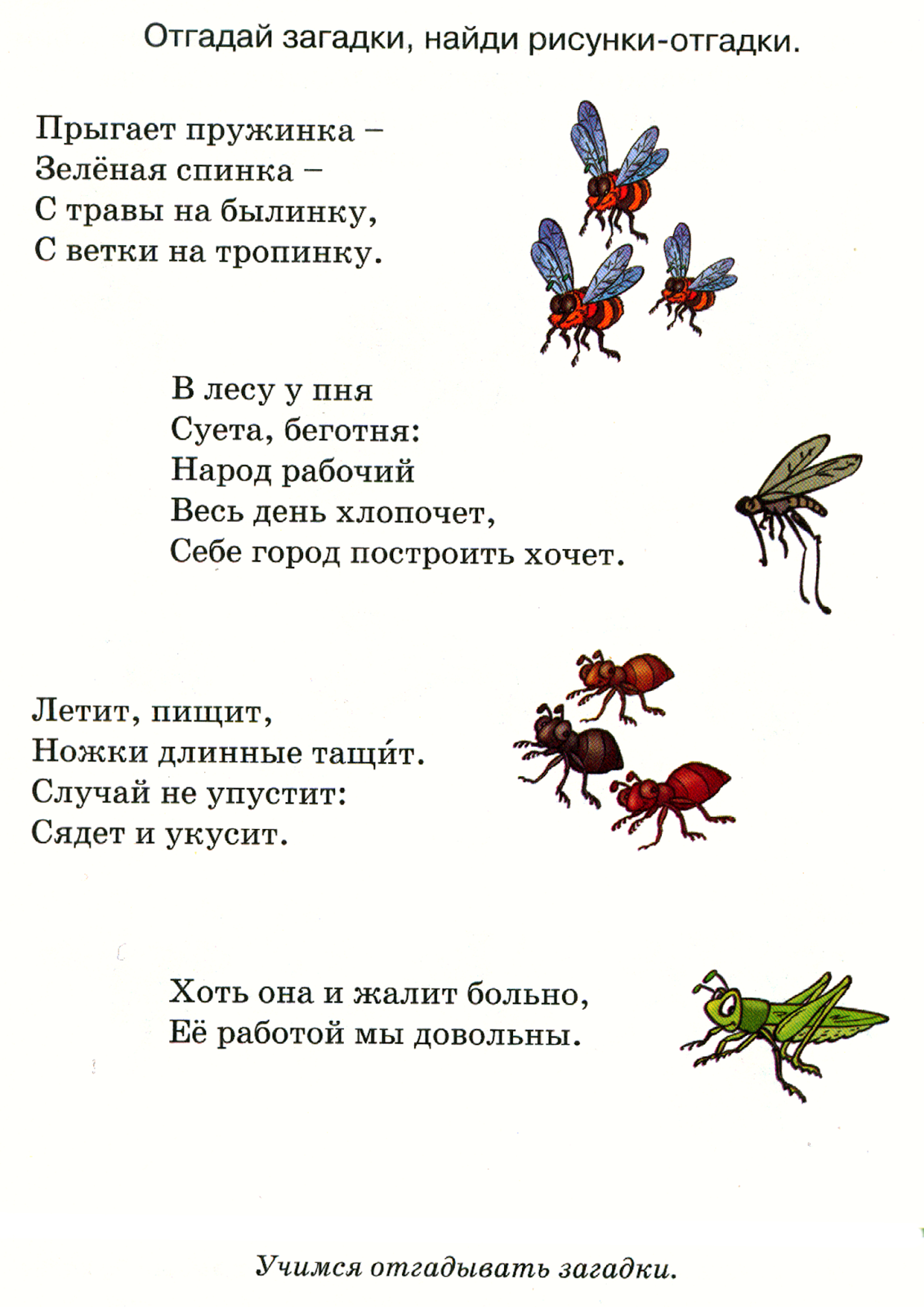 Загадки про насекомых для дошкольников. Загадки про насекомых для детей 6-7. Загадки про насекомых для детей. Стихи про насекомых для малышей.