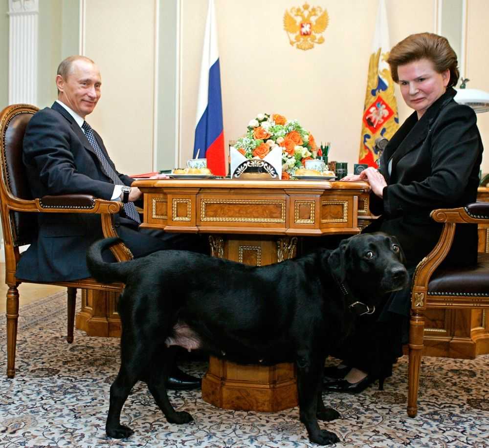 Merkel Putin Dog