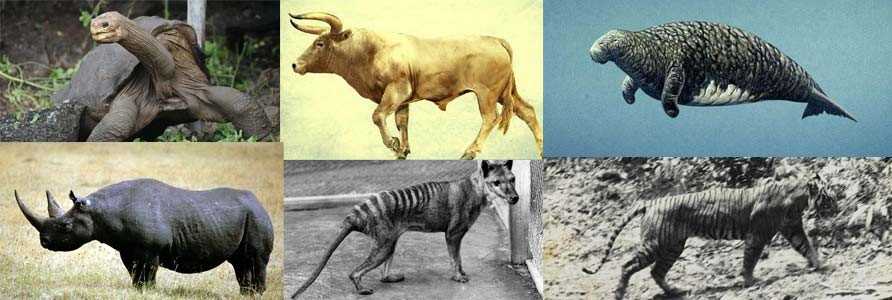 9 вымерших животных, которых ученые собираются возродить