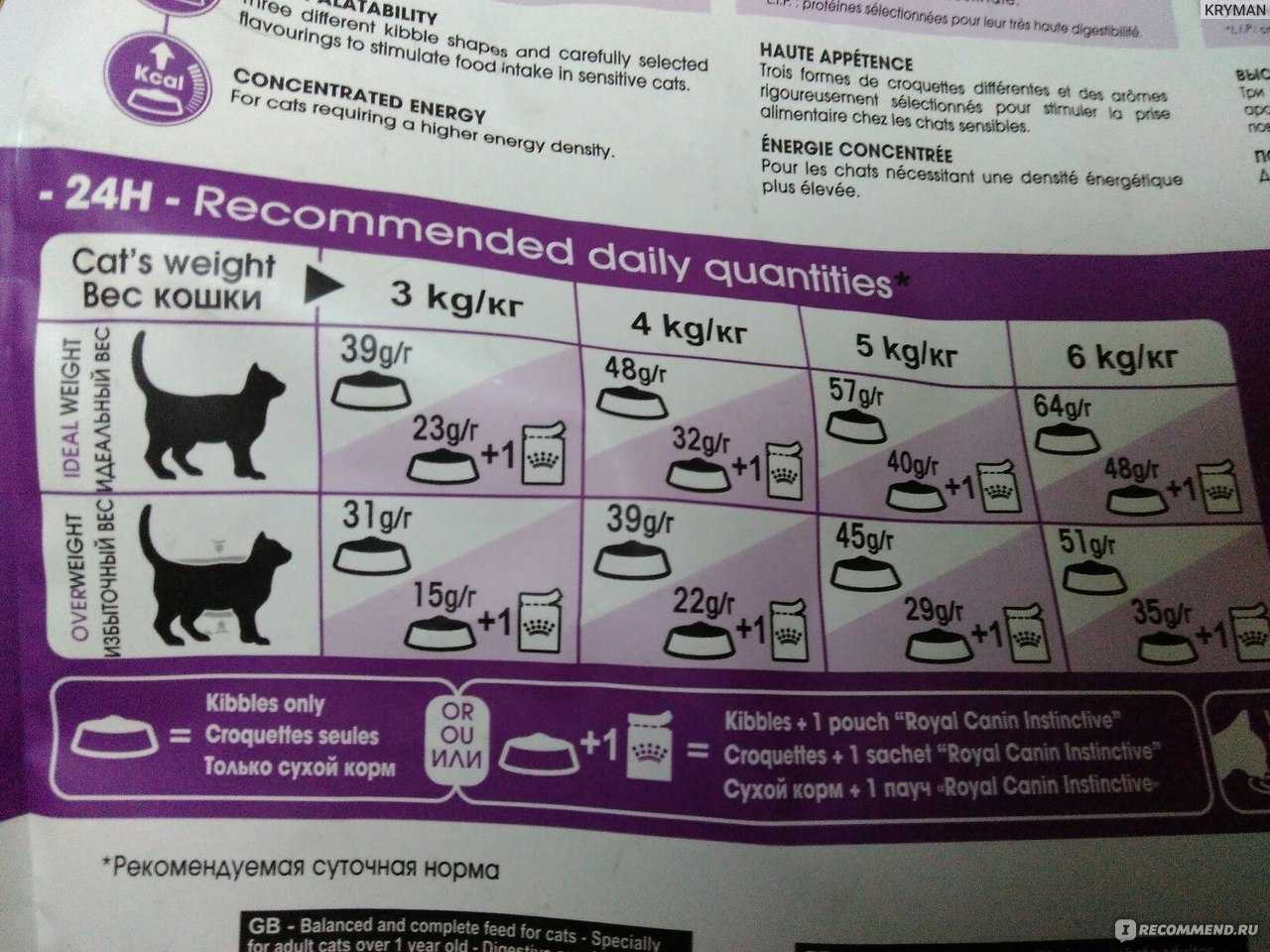 Можно ли кота кормить детским питанием мясным. можно ли котенка кормить детским питанием? употребление детского питания котятами