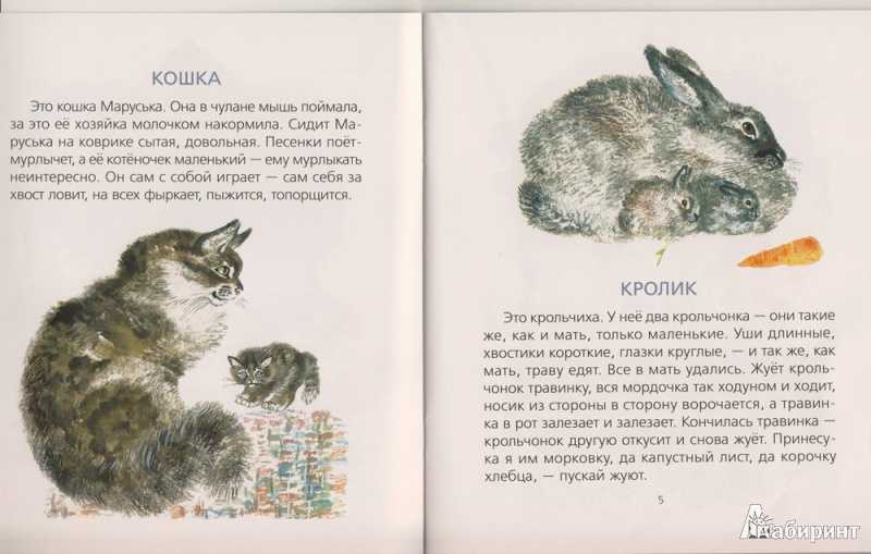 Сказки и стихи про животных для малышей 1-3 лет