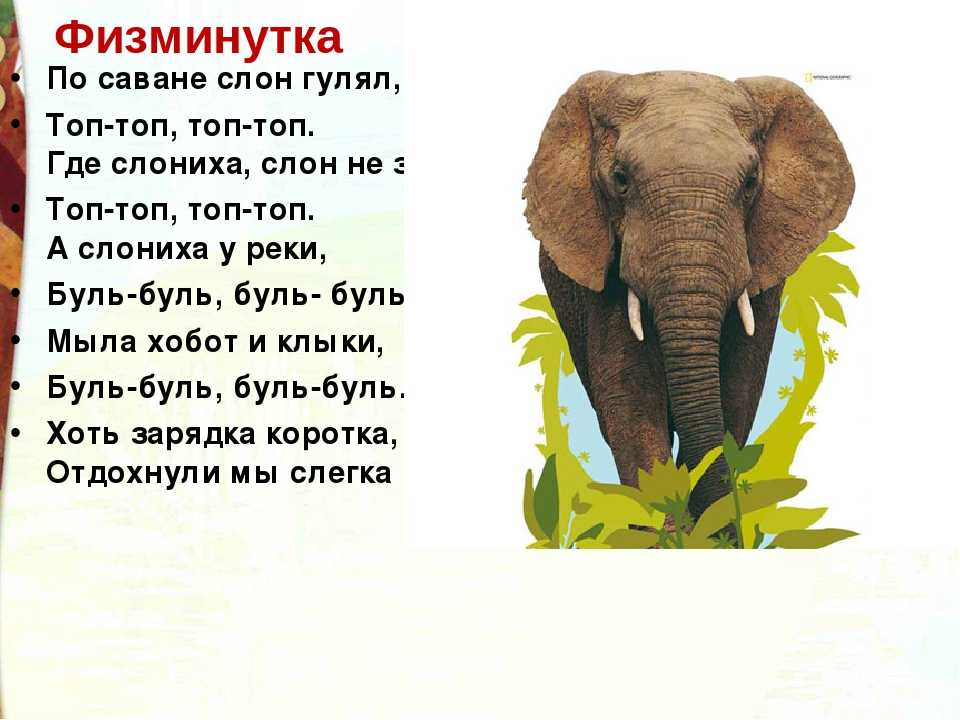 Словно слон текст. Стих про слона. Стихи про слонов. Стих про слона для детей. Стихотворение про слоненка.