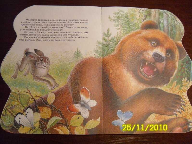 Литературное чтение во 2 классе - разнообразные и яркие образы в произведении николая сладкова «медведь и солнце» презентация, доклад, проект