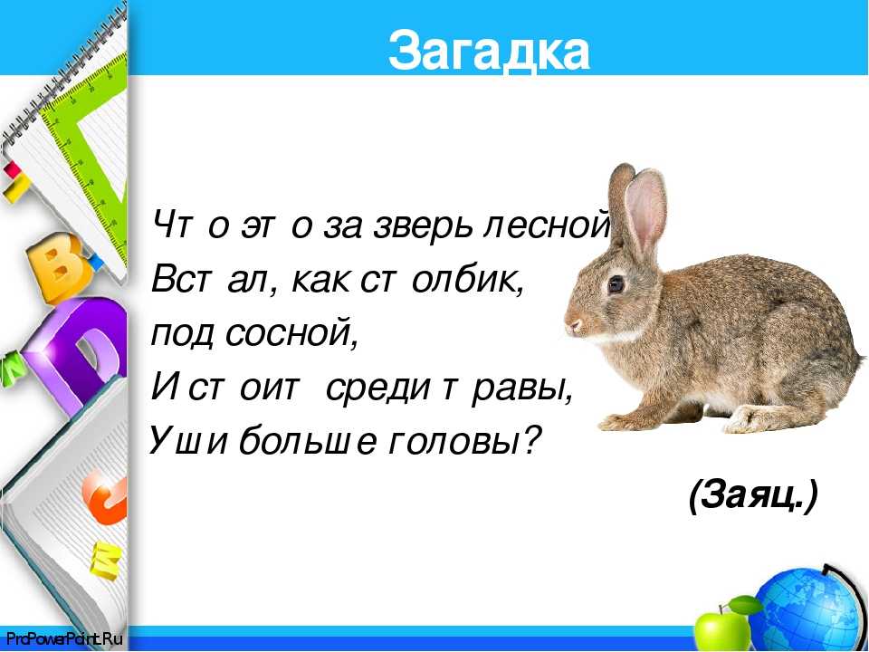 Про 1 зайца. Загадка про зайца. Загадка про зайца для детей. Загадки на тему заяц. Загадки про Зайцев.