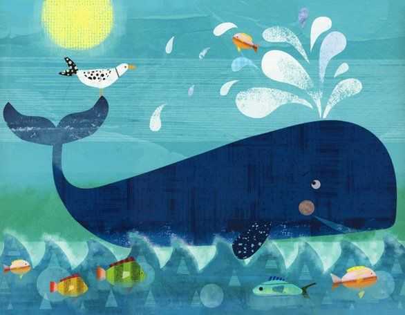 Интересные факты о гигантском синем ките