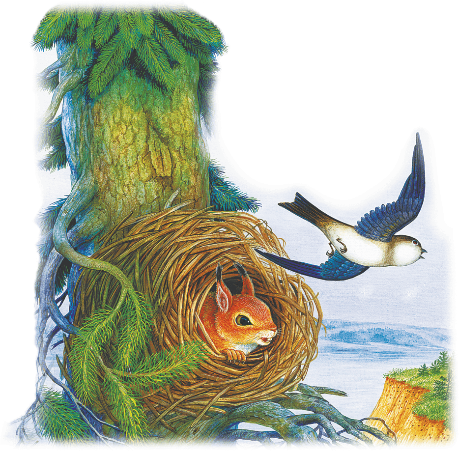 Читать сказку лесные домишки - виталий бианки, онлайн бесплатно с иллюстрациями.