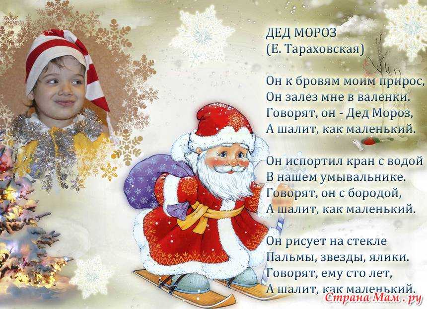 Как зимует заяц