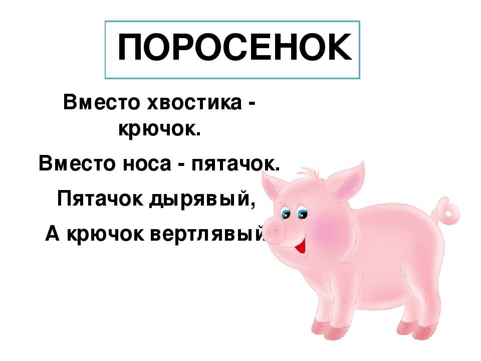 Стихотворения про свиней и поросят