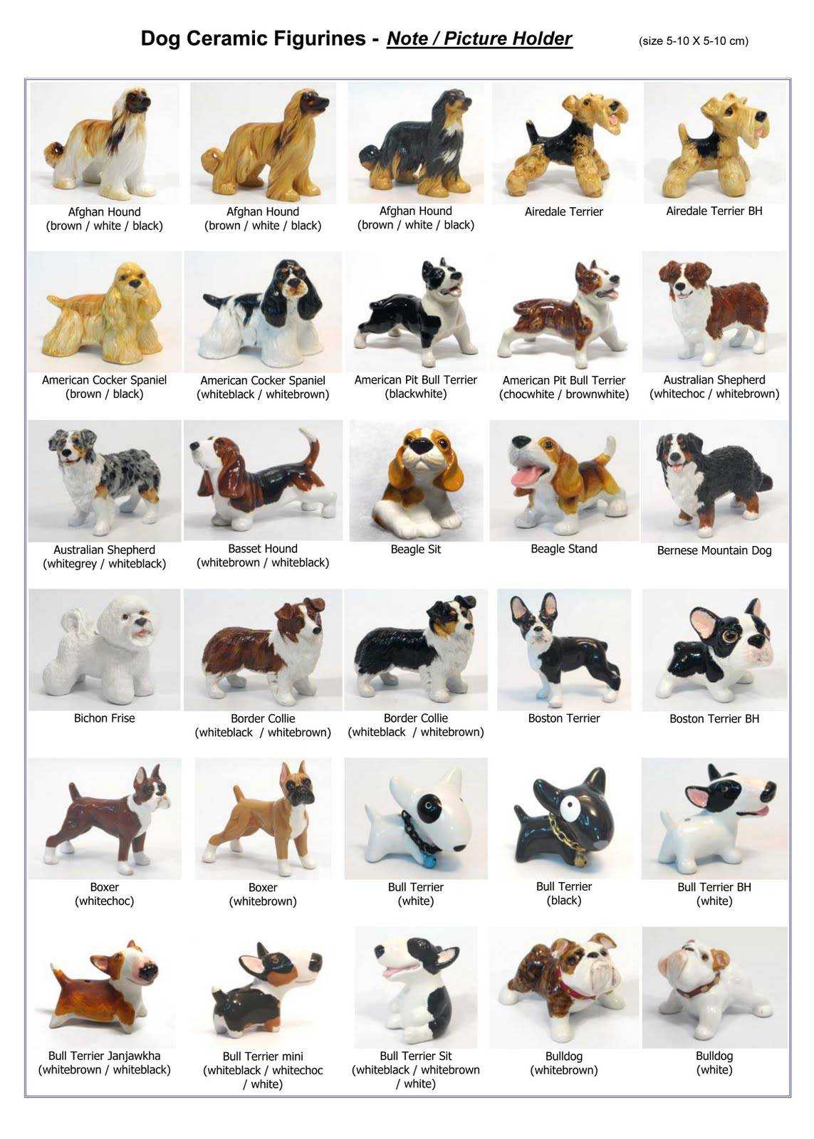 Порода собак варианты. Мелкие породы собак перечень. Список маленьких пород собак. Порода собак Меркурий. Название пород маленьких собак.