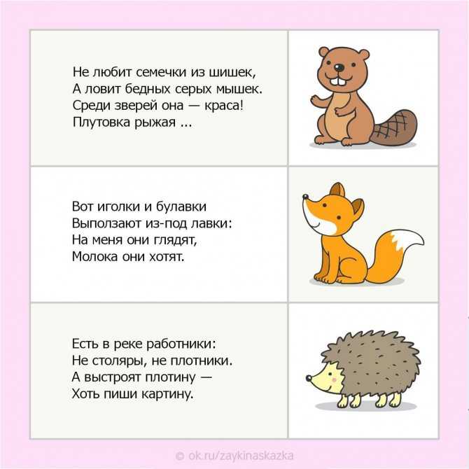 Загадки про животных для детей 5-6-7 лет с ответами