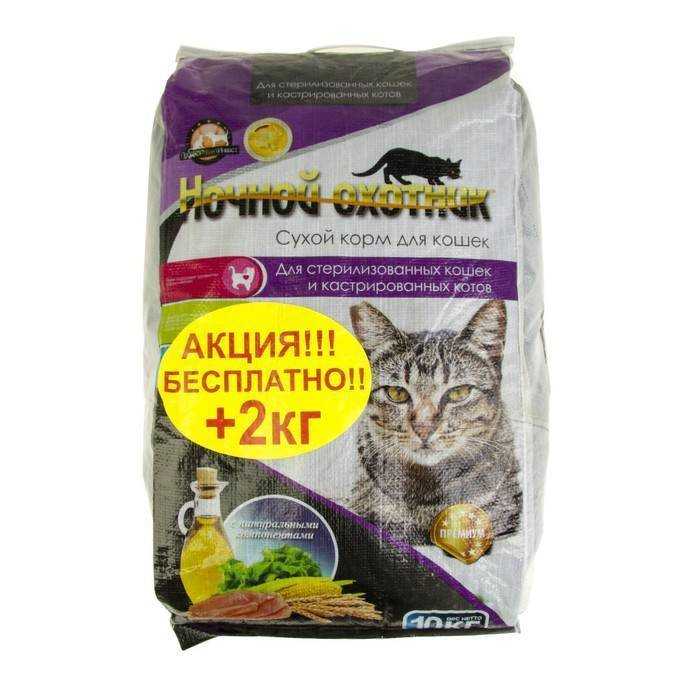 Корм для кошек «ночной охотник»: отзывы ветеринаров и владельцев животных, его состав и виды, преимущества и недостатки